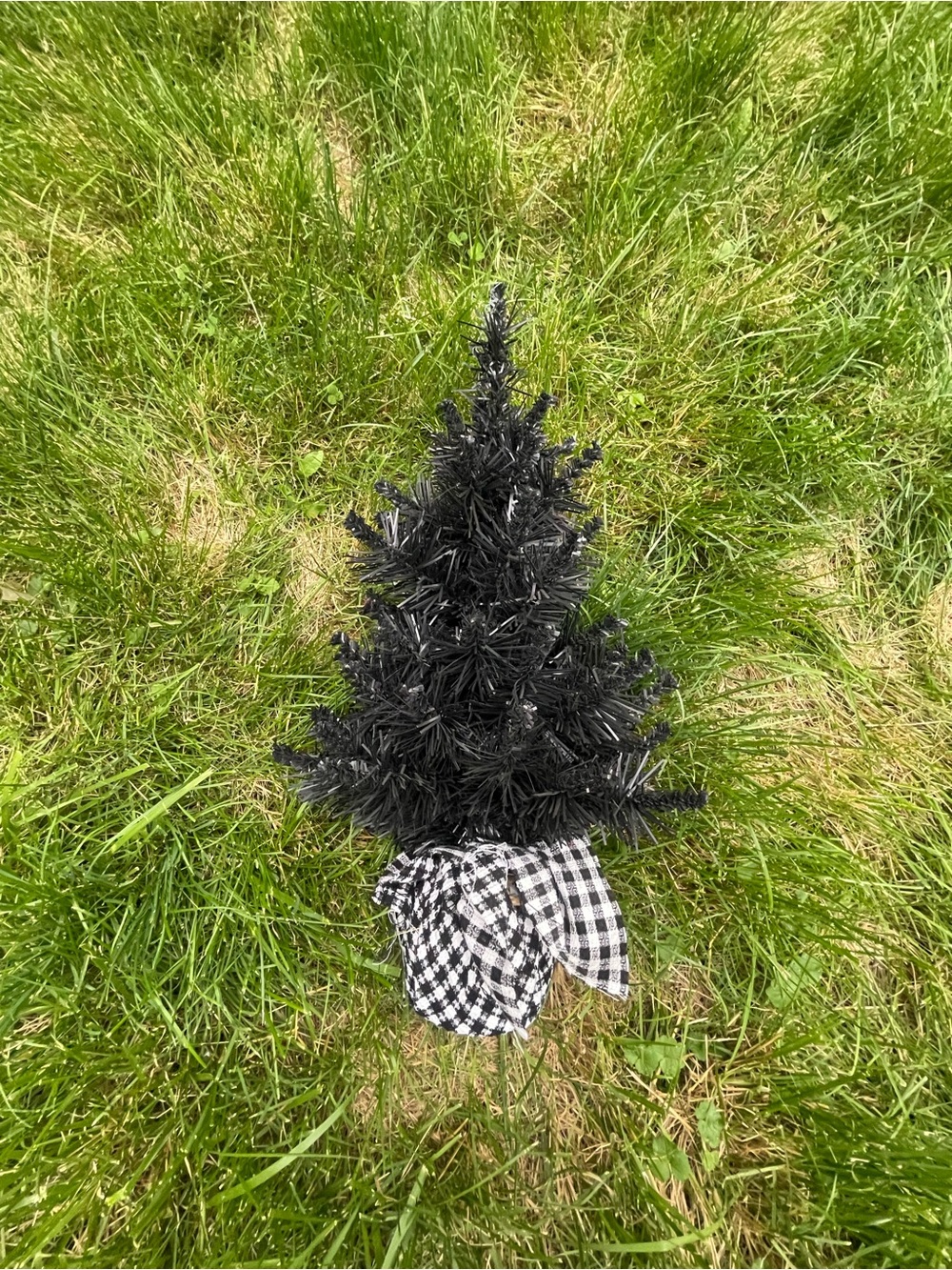 Black Mini Decorative Tree with Checkered Base